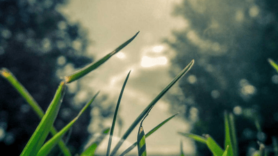 Airplane - professional stock photography