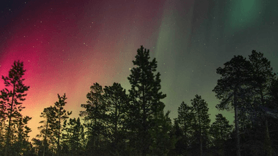 Backpack - professional stock photography