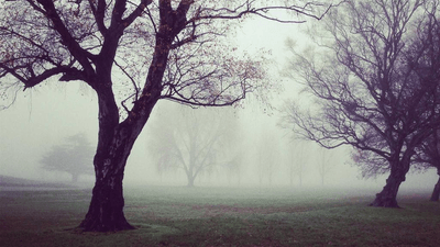 Backpack - professional stock photography