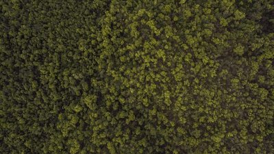 Bridge - professional stock photography