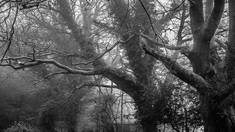 Campfire - professional stock photography