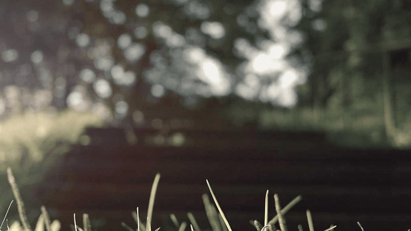 Castle - professional stock photography