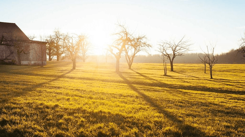 Compass - professional stock photography
