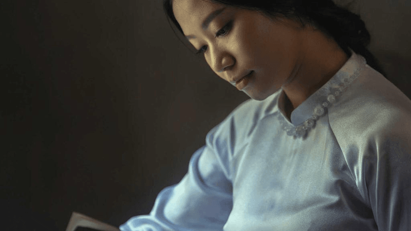 Forest - professional stock photography