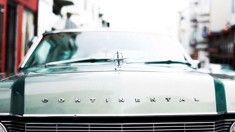 Forest - professional stock photography