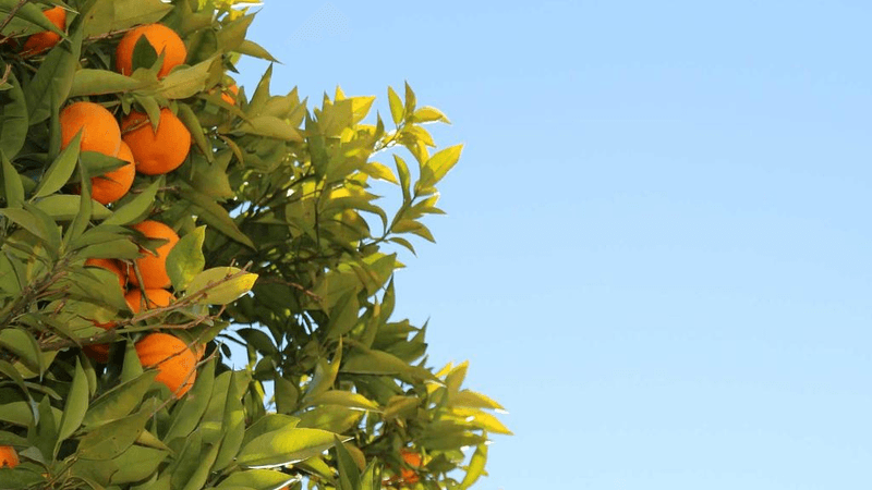 Island - professional stock photography