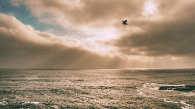 Island - professional stock photography