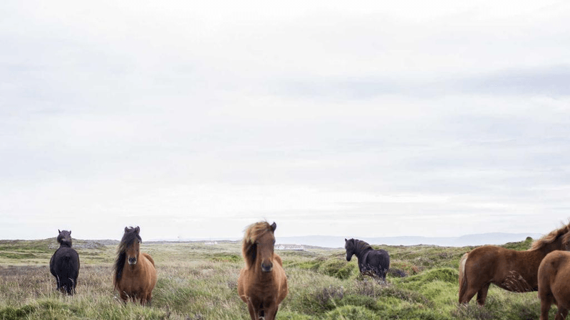 Lake - professional stock photography