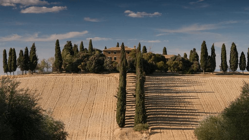 Map - professional stock photography