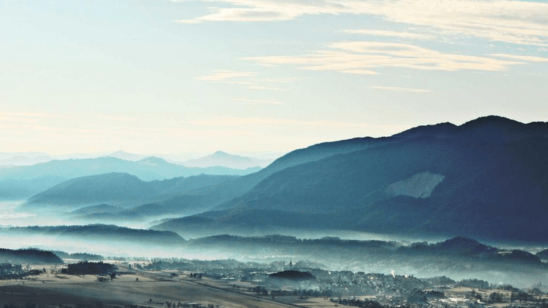 Market - professional stock photography