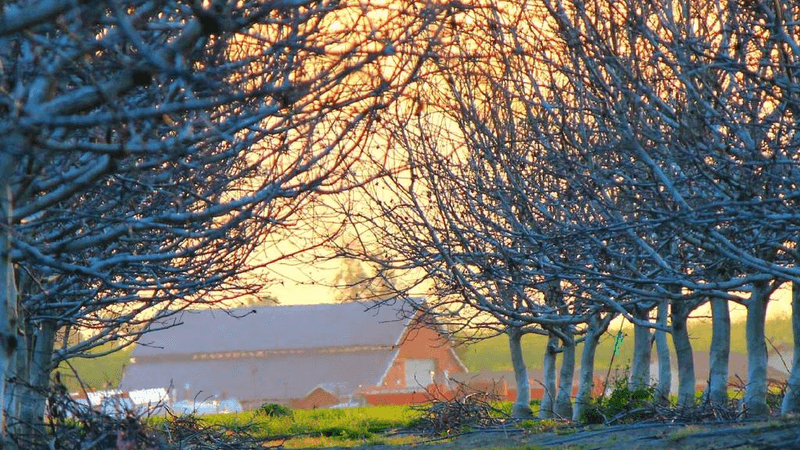 Mountain - professional stock photography