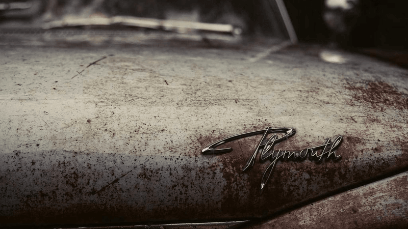 Passport - professional stock photography