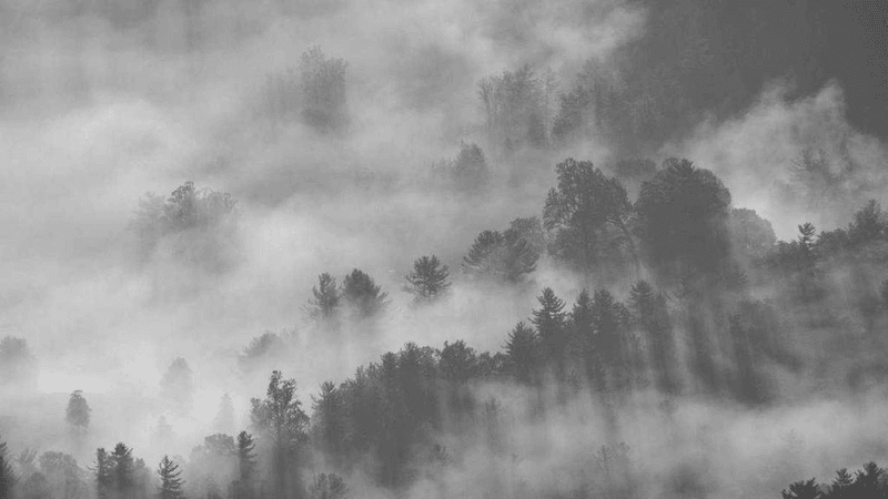 Street - professional stock photography